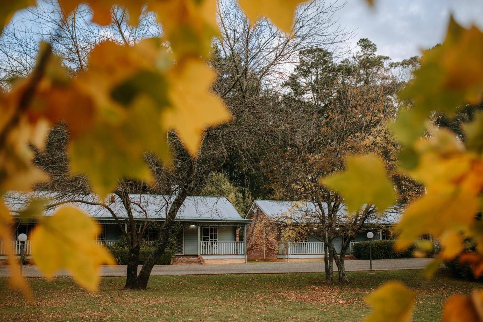 Villa Federation Gardens & Possums Hideaway à Blackheath Extérieur photo