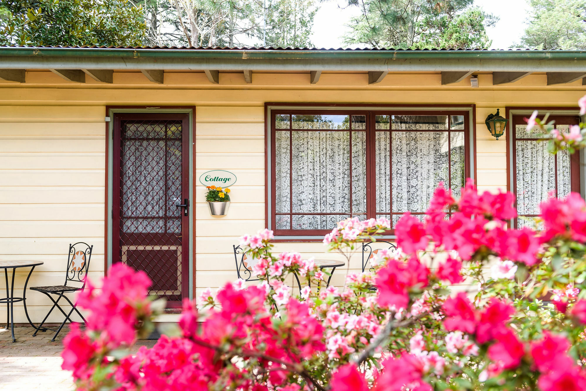 Villa Federation Gardens & Possums Hideaway à Blackheath Extérieur photo